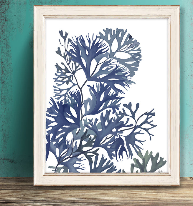 Seaweed 2 Blue Large, Nautical print, Coastal art