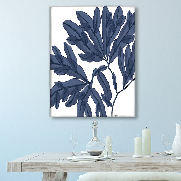 Seaweed 4 Blue Large, Nautical print, Coastal art