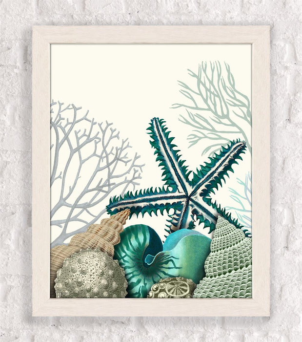 Starfish, Under the Sea, Nautical print, Coastal art