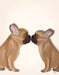 French Kiss Close Up, Dog Art Print, Wall art | FabFunky