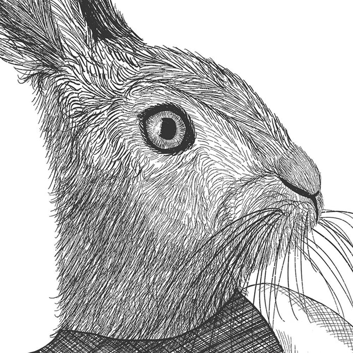 Boxing Hare 1, Limited Edition Print of drawing | Print 24x36inch
