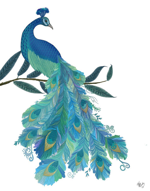 Peacock with Doodle Tail on White , Art Print, Wall Art | FabFunky