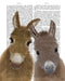 Donkey Duo