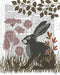 Country Lane Hare 3