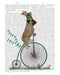 Pug on Penny Farthing